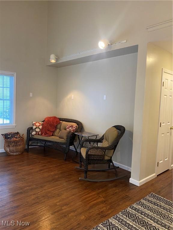 living area with a towering ceiling and dark hardwood / wood-style flooring