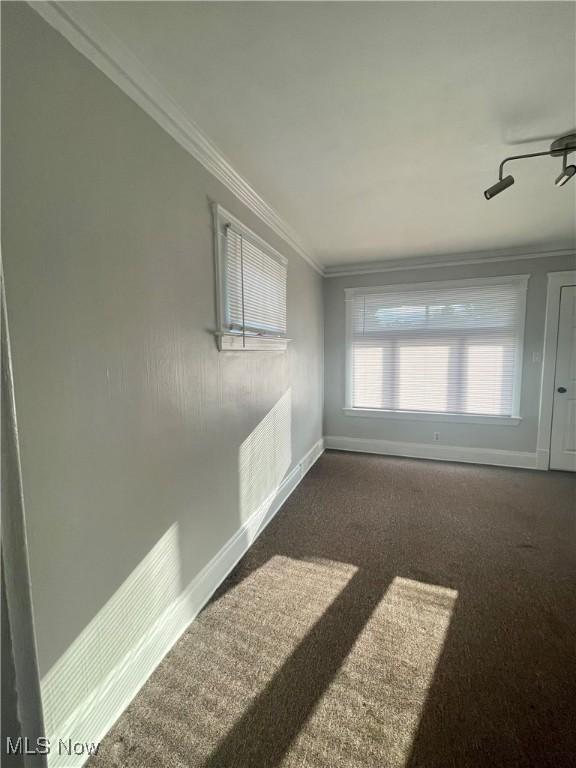 spare room with crown molding and dark carpet