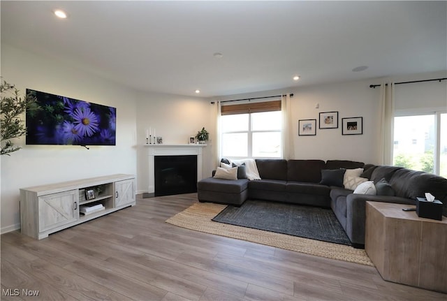 living room with a healthy amount of sunlight and light wood-type flooring