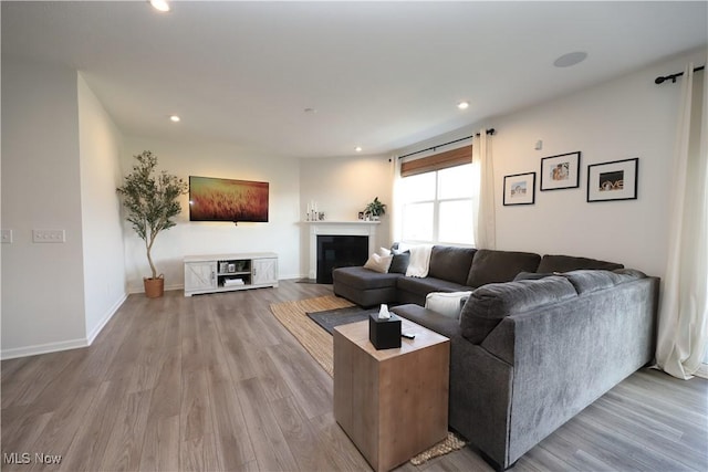 living room featuring hardwood / wood-style floors