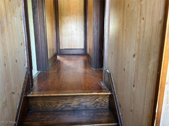 hall featuring dark wood-type flooring and wooden walls