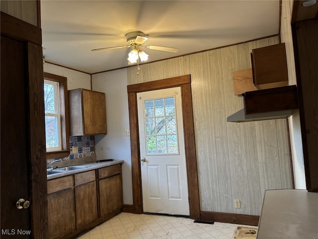 kitchen with crown molding, ceiling fan, a healthy amount of sunlight, and sink