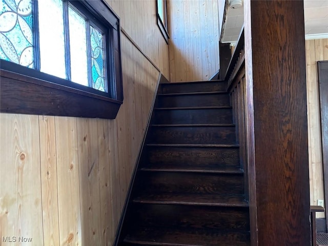 stairway with wooden walls