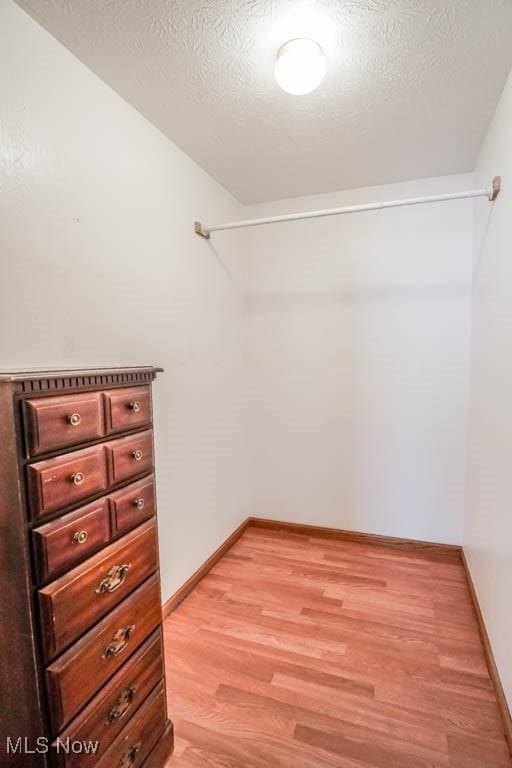 spacious closet featuring light hardwood / wood-style flooring