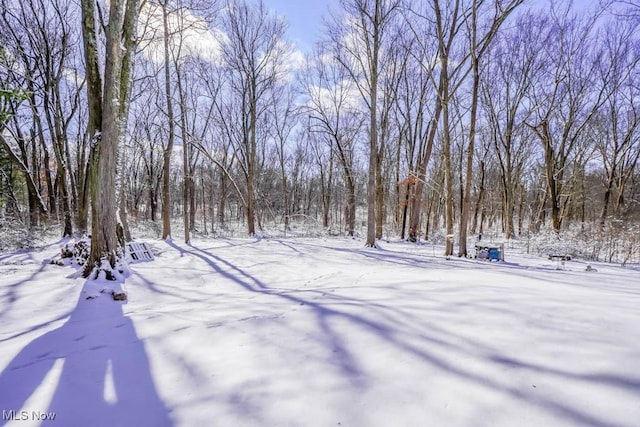 view of yard covered in snow