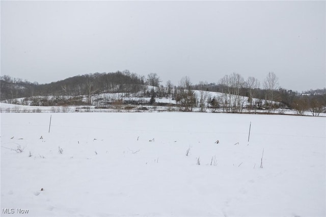 view of yard covered in snow