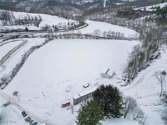 view of snowy aerial view