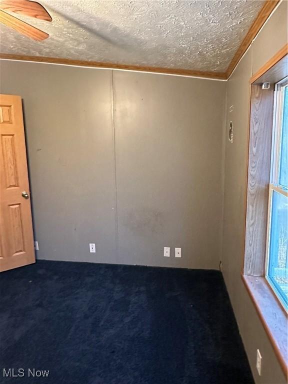 empty room with carpet and a textured ceiling