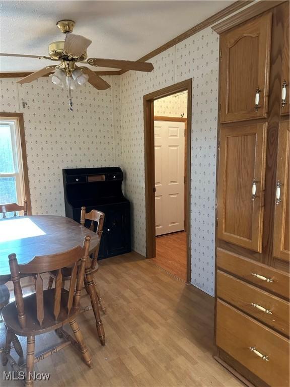 dining area featuring ornamental molding, ceiling fan, and light wood-type flooring