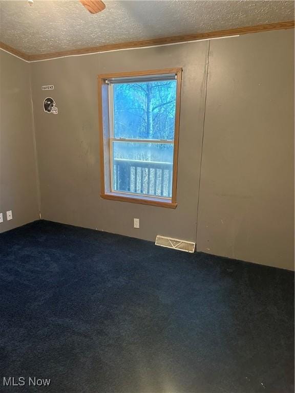 spare room with carpet floors and a textured ceiling