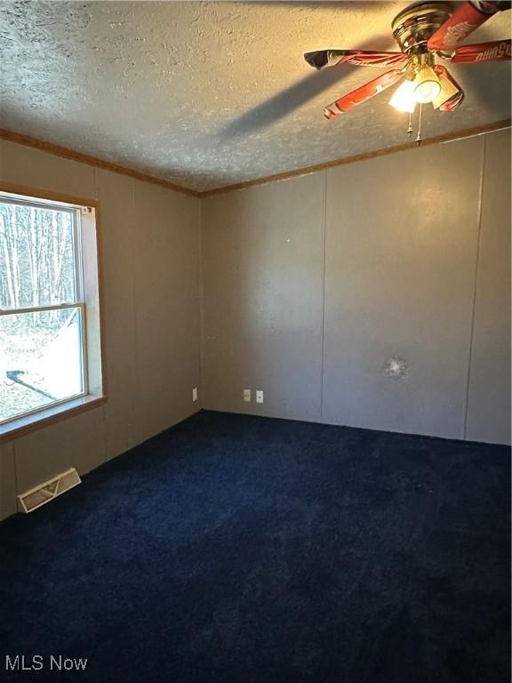 spare room with crown molding, a textured ceiling, and carpet flooring