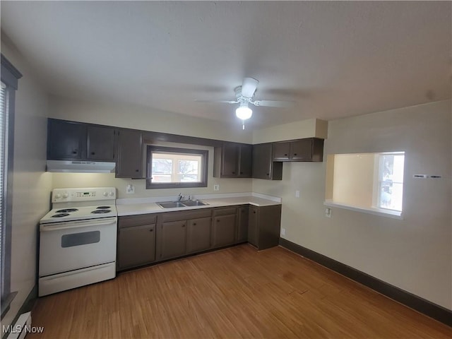 kitchen featuring under cabinet range hood, electric range, a sink, light wood-style floors, and light countertops