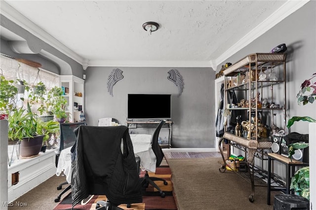 carpeted office with ornamental molding and a textured ceiling