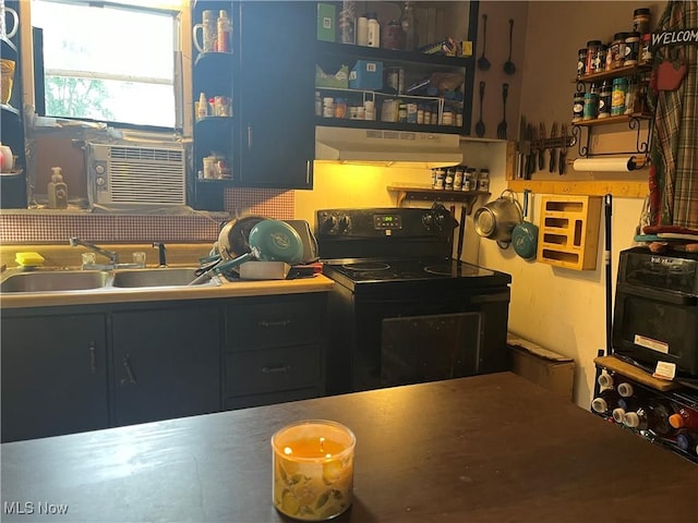 kitchen with black / electric stove and sink