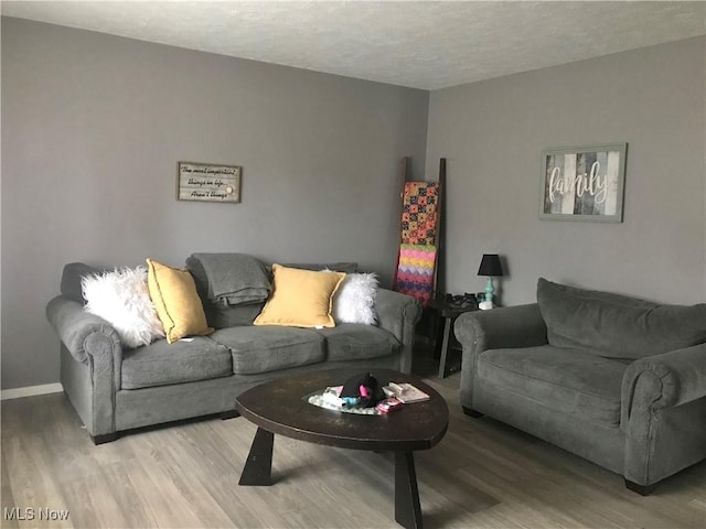 living room with wood-type flooring and a textured ceiling