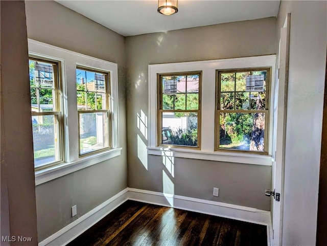 entryway featuring dark hardwood / wood-style floors