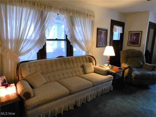 living room featuring carpet flooring