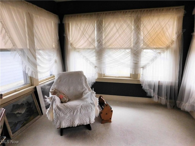 sitting room featuring carpet flooring