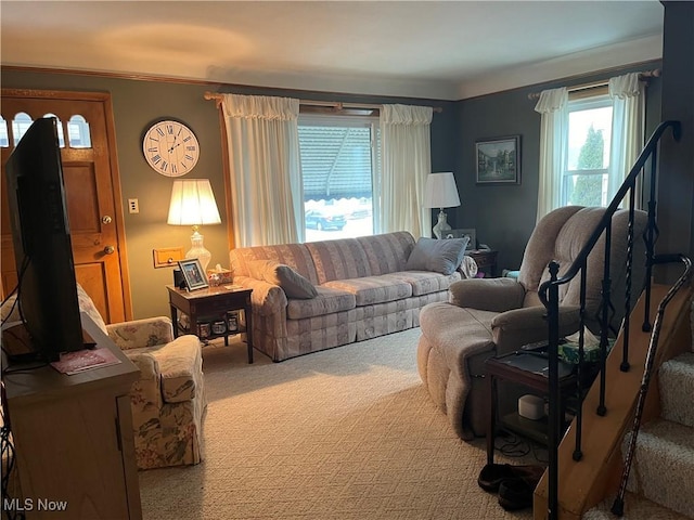 living room with crown molding and carpet flooring