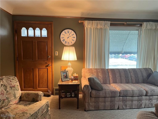 living room featuring a wealth of natural light and carpet flooring