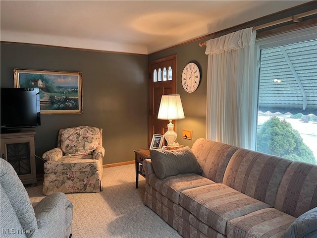 living room featuring light colored carpet