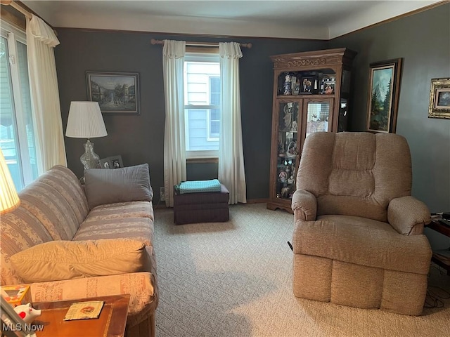 view of carpeted living room