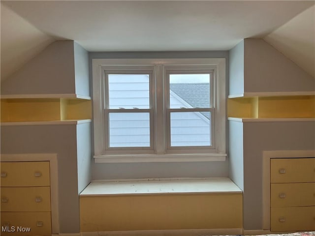 additional living space featuring lofted ceiling and a healthy amount of sunlight