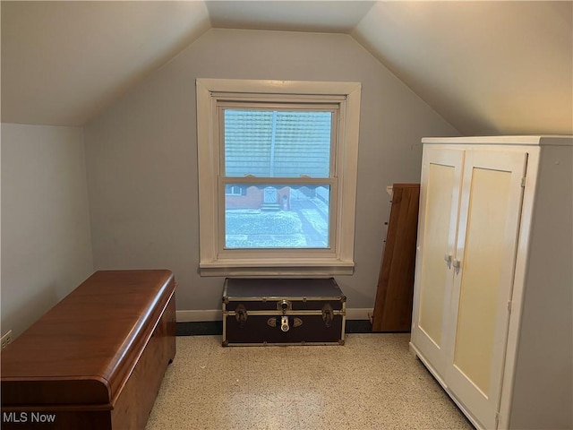 additional living space with vaulted ceiling