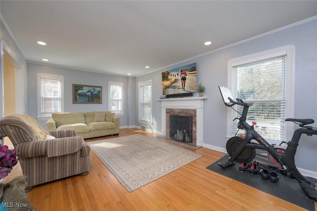 living room with wood-type flooring, plenty of natural light, crown molding, and a high end fireplace