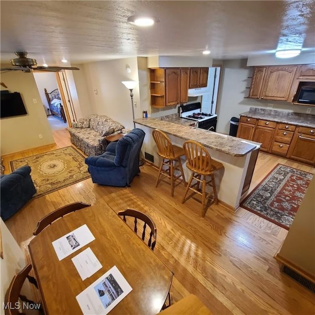 living room with ceiling fan and light hardwood / wood-style flooring