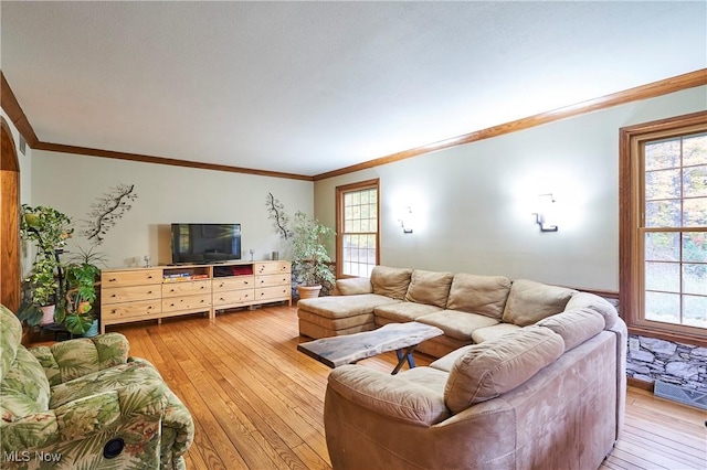 living room with light hardwood / wood-style flooring and plenty of natural light