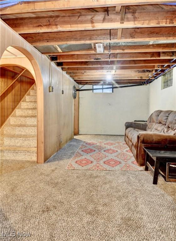 basement featuring carpet flooring