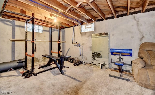 exercise room with carpet flooring