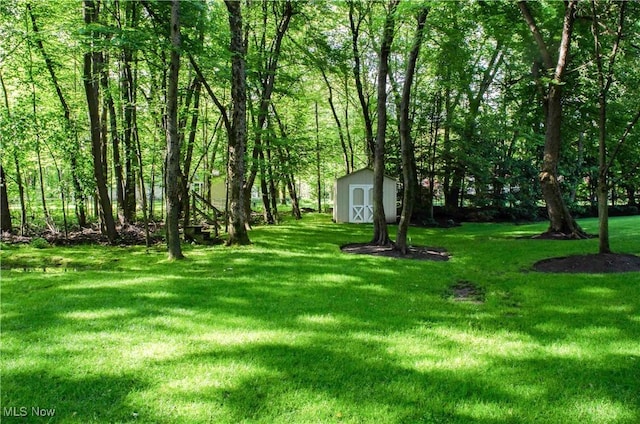 view of yard with a storage shed