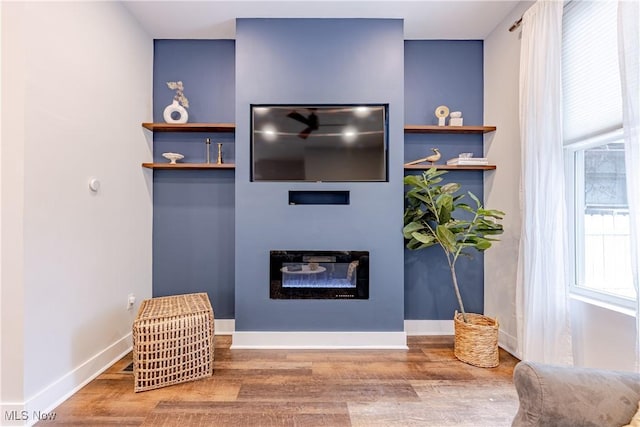 living room with hardwood / wood-style floors