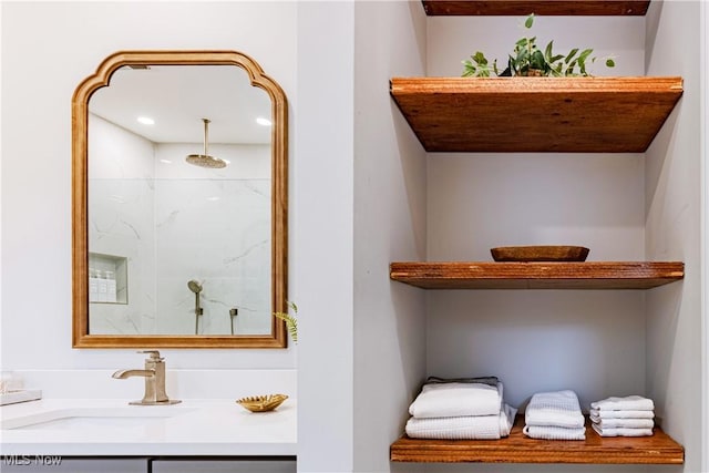 interior details featuring sink and walk in shower