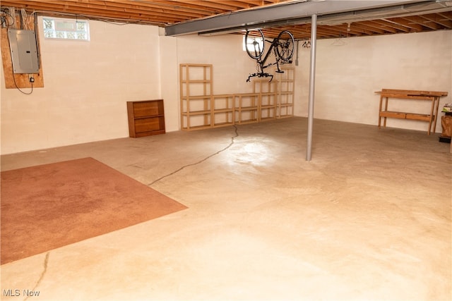 basement featuring electric panel