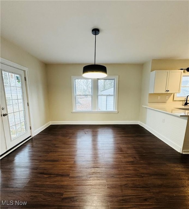 unfurnished dining area with dark hardwood / wood-style flooring and sink