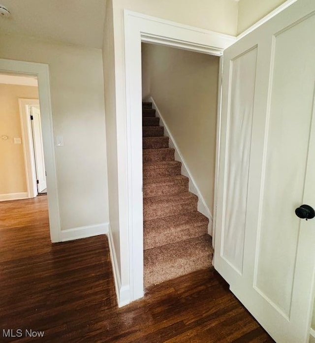 staircase featuring hardwood / wood-style floors