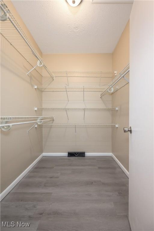 spacious closet with hardwood / wood-style flooring