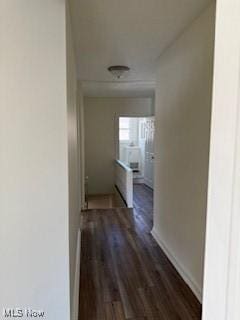 hallway featuring dark hardwood / wood-style floors