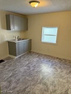 interior space featuring sink and gray cabinetry