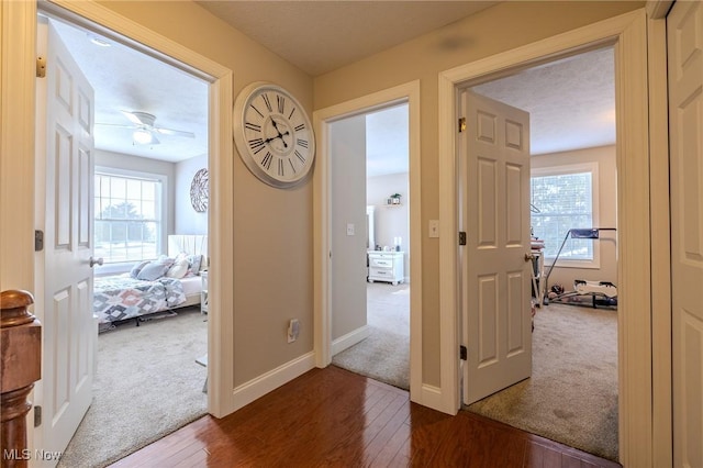 corridor featuring dark hardwood / wood-style floors