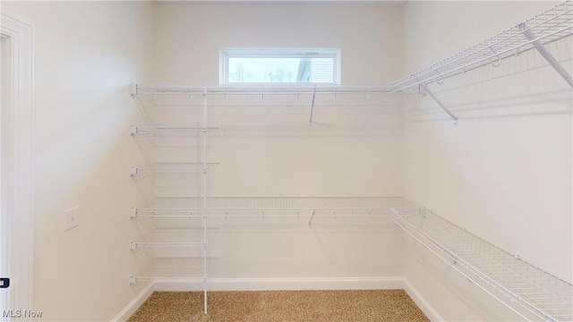 spacious closet with carpet flooring