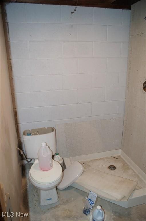 full bathroom with a stall shower and toilet