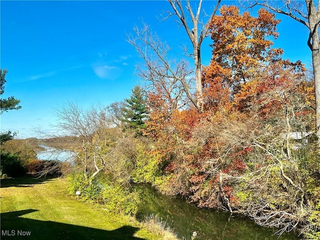 view of local wilderness