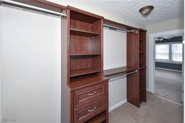 spacious closet with light carpet