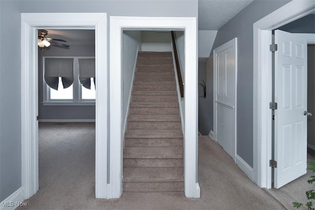 stairway featuring carpet flooring