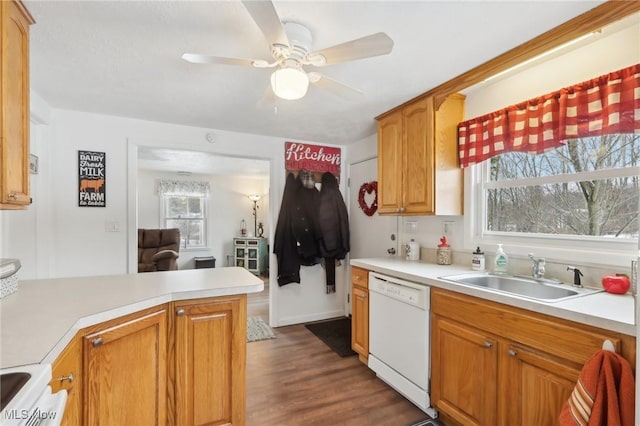 kitchen with kitchen peninsula, stove, sink, dishwasher, and dark hardwood / wood-style floors