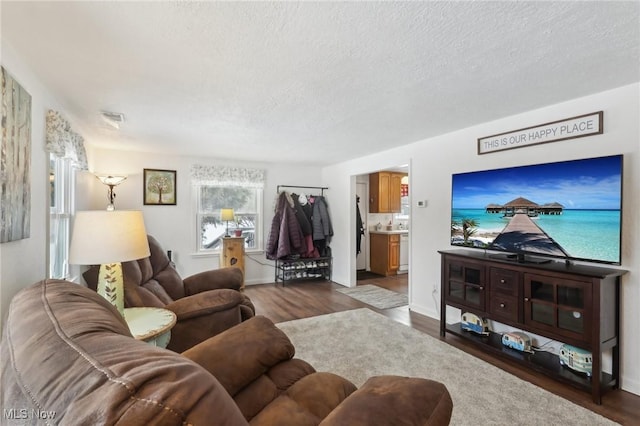 living room with dark hardwood / wood-style flooring and a textured ceiling